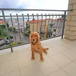Lonzor